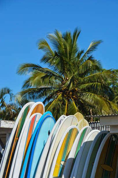 istock Colourful surf boards lined up on Hawaiian beach 901736930