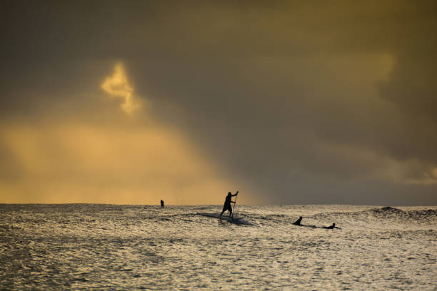 istock Paddleboarders ride the waves at sunset on Kauai, Hawaii. 901736940
