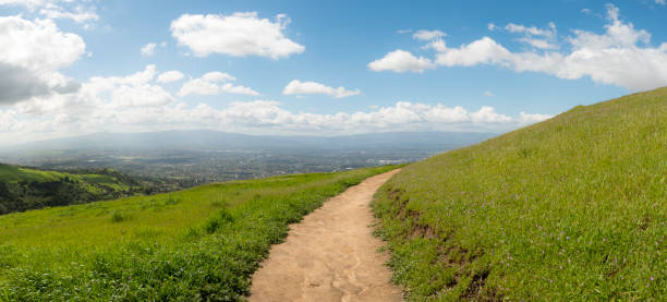 istock Above the City 901762198
