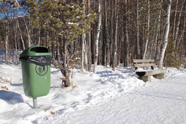 istock Park bench with a green garbage can in a birch forest 901772338