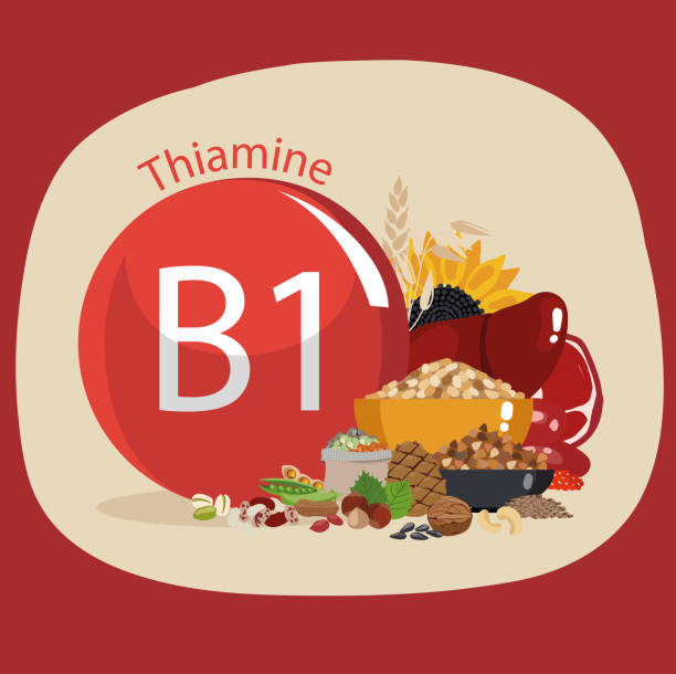 witamina b1 (tiamina) - vitamin b1 stock illustrations