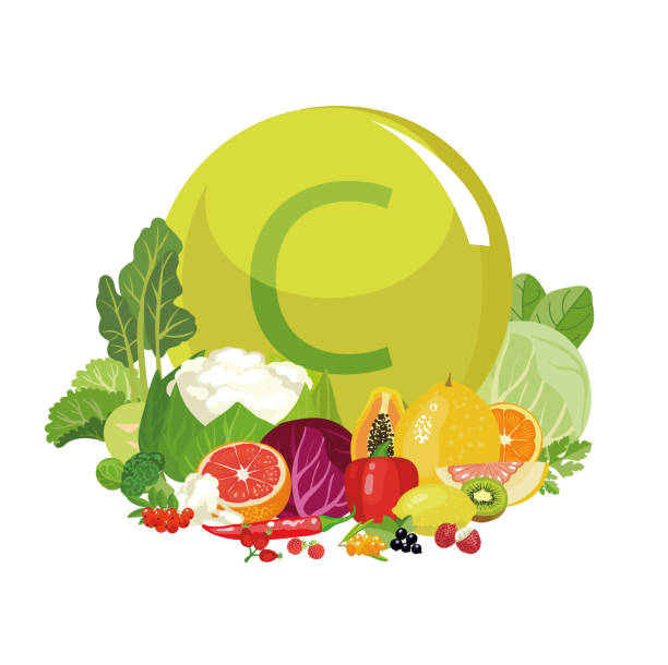 ilustrações, clipart, desenhos animados e ícones de a vitamina c ou ácido ascórbico. - kohlrabi purple cabbage organic