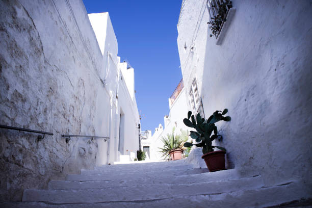 istock The white roads of Ostuni 901776760