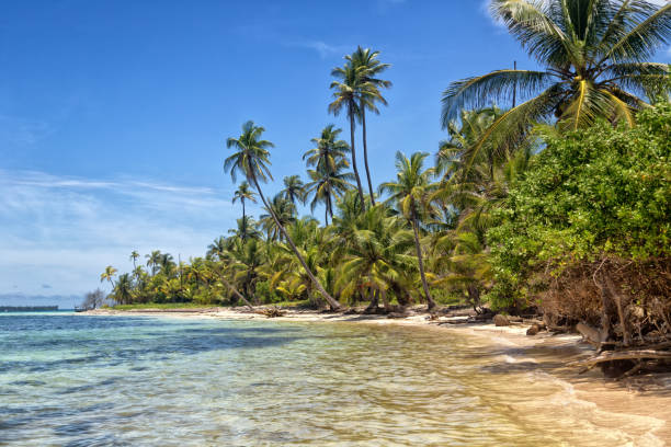 istock Paradisiacal island in San Blas 901781138
