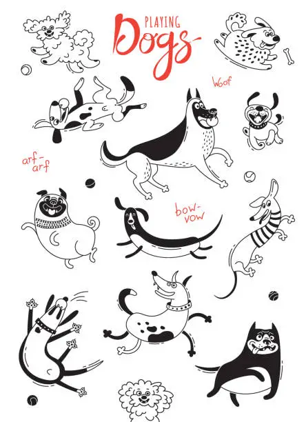 Vector illustration of Playing dogs. Funny lap-dog, happy pug, mongrels and other breeds. Set of isolated vector drawings for design