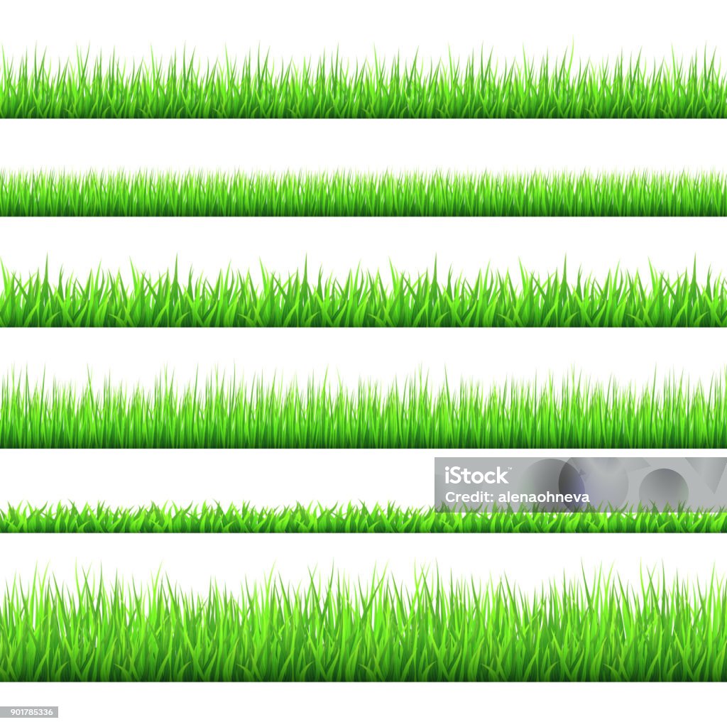 Spring green grass  borders  set  isolated on white background. Spring green grass  borders  set  isolated on white background. Horizontal banners. Vector texture. Grass stock vector