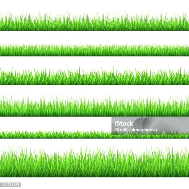 Spring Green Grass Borders Set Isolated On White Background Stock Illustration - Download Image Now