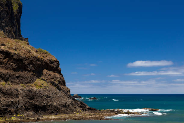 istock The Atlantic ocean with rocks, Madeira 901788682
