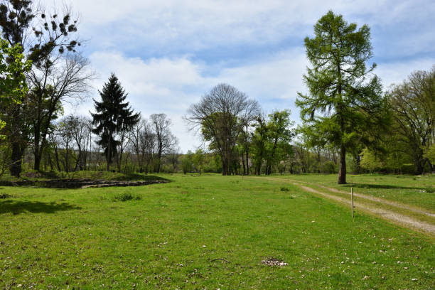 istock Green vibrant park 901789592