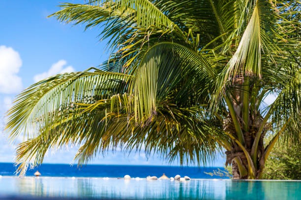 istock View from the swimming pool to the ocean 901789610