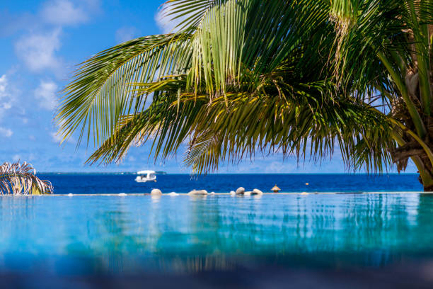 istock View from the swimming pool to the ocean 901789778