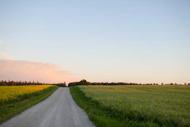 istock Gravel road 901792066