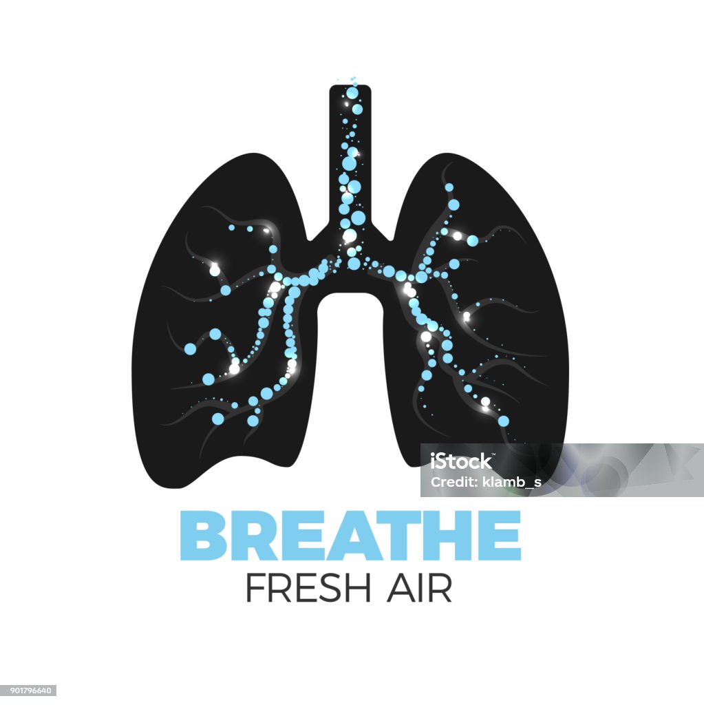 Healthy lungs icon Healthy lungs vector icon. Fresh air breathing concept. Lungs silhouette with bronchi full of air bulbs. Isolated on white background. Stop smoking! Lung stock vector