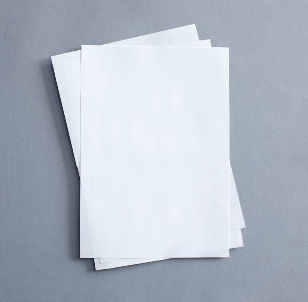 istock Blank white paper on the gray background 901805292