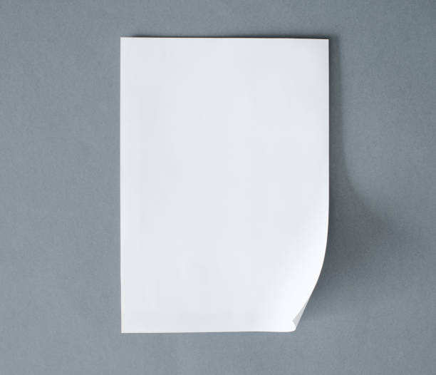 istock Blank white paper on the gray background 901805354