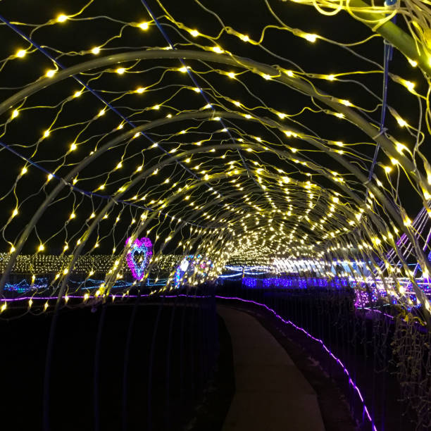 istock The illumination glows in the dark. 901805824