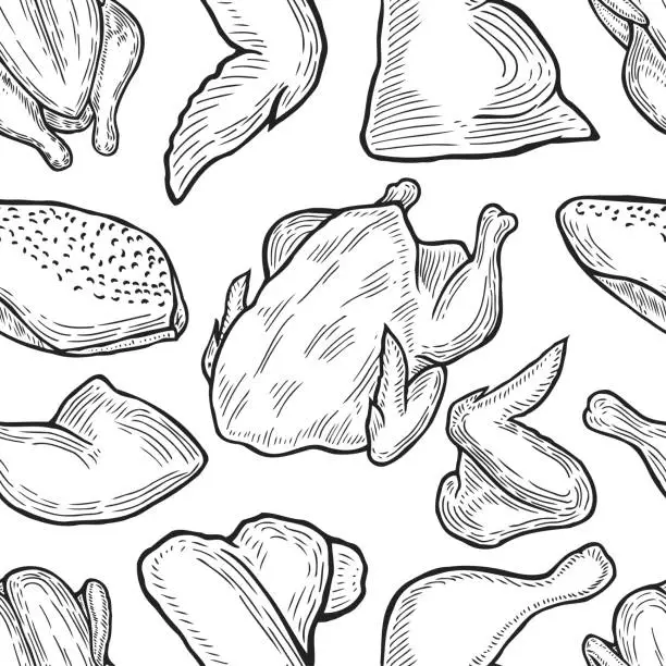 Vector illustration of Chicken cuts, hen parts.