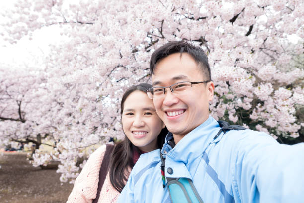 istock couple with Cherry blossoms 901813192