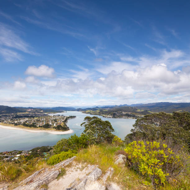 istock Coromandel New Zealand 901820372