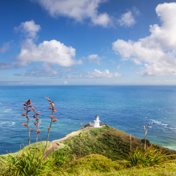 istock Cape Reinga Northland New Zealand 901820550
