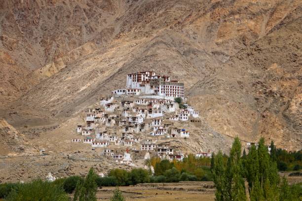 istock Chemday Monastery, Leh Ladakh, India 901820766