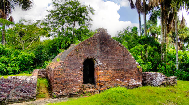 Ruins of Zeeland fort on the island in Essequibo delta in Guyana Ruins of Zeeland fort on the island in Essequibo delta in GuyanaRuins of Zeeland fort on the island in Essequibo delta in Guyana guyana photos stock pictures, royalty-free photos & images