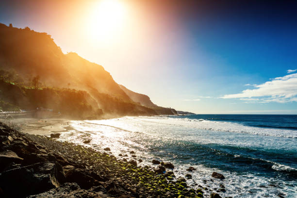 istock Island of Tenerife, Spain 901821978