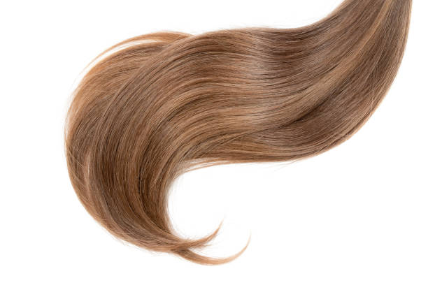 istock Curl of natural hair on a white background 901822580