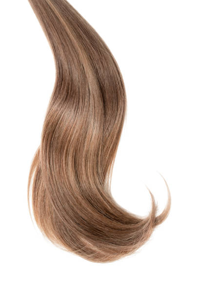 istock Curl of natural hair on a white background 901822586
