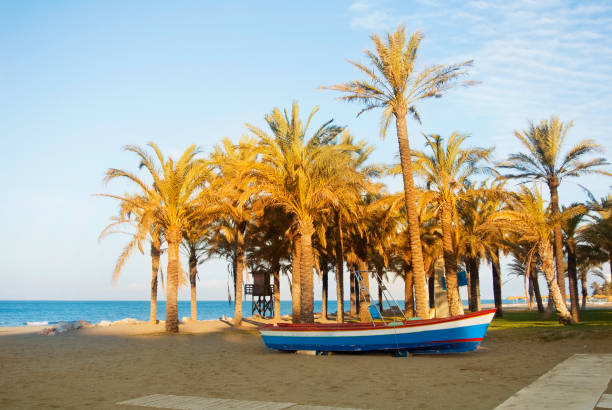 Wooden colorful boat standing on the sandy bay beach near the high palm trees with blue sea water at the background in warm evening sunset sunlight, Torremolinos, Malaga province, Andalusia, Spain. Wooden colorful boat standing on the sandy bay beach near the high palm trees with blue sea water at the background in warm evening sunset sunlight, Torremolinos, Malaga province, Andalusia, Spain. torremolinos beach stock pictures, royalty-free photos & images
