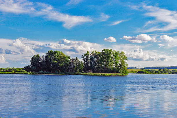 lake and forest stock photo