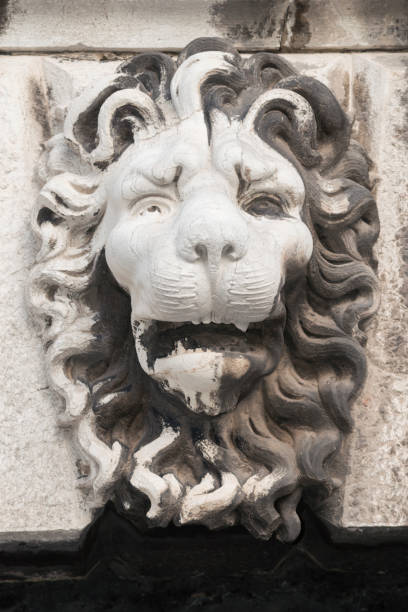 istock lion head outdoors 901830836