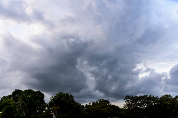 istock Cloudy sky group with condensation and forest in evening before sunset and raining. 901833150