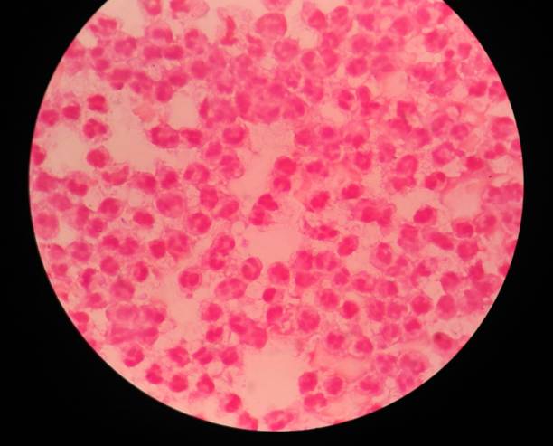istock modrate red blood cells medical science background. 901833370