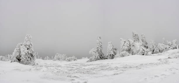istock Snowy countryside, Praded, Jeseniky 901834344