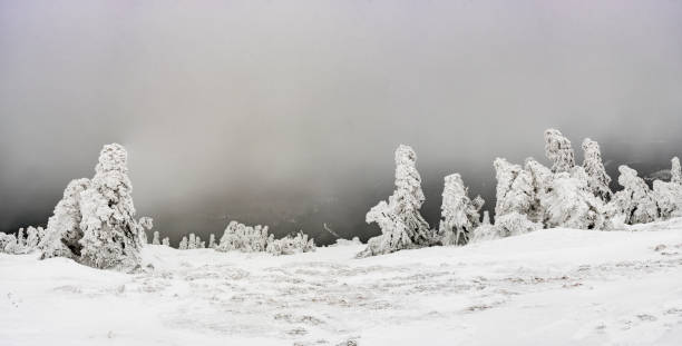 istock Snowy countryside, Praded, Jeseniky 901834486