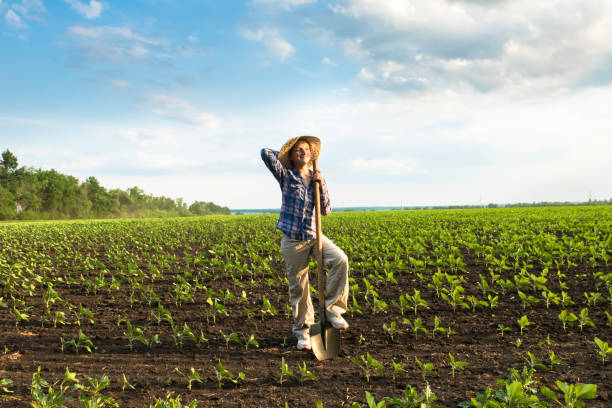 istock Happy small farmer with spade in spring field 901841796