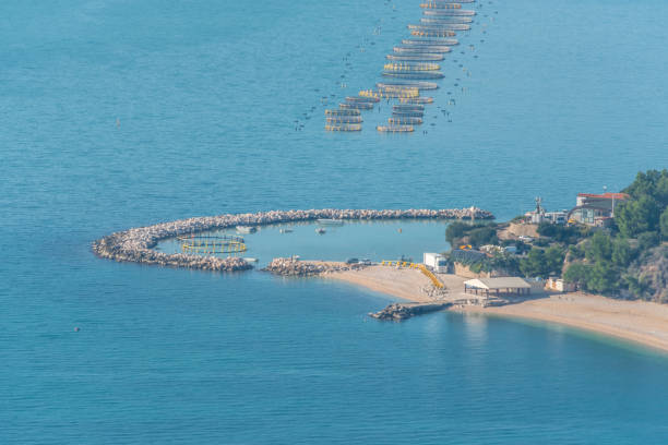 istock Fish farm Gargano Peninsula, Italy 901844756