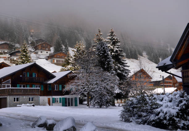 istock Winter Alpine landscape in the countryside 901845112