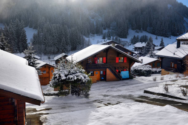 istock Winter Alpine landscape in the countryside 901845256