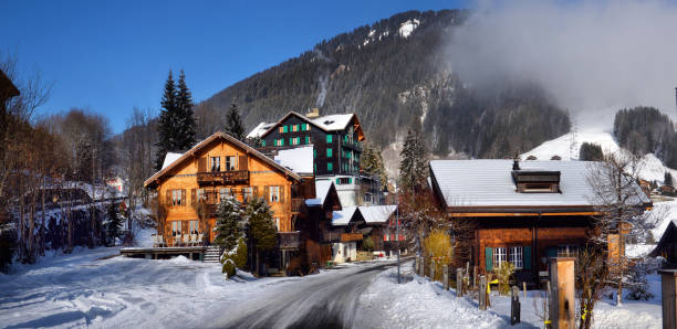 istock Winter Alpine landscape in the countryside 901845746