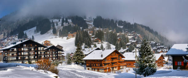 istock Winter Alpine landscape in the countryside 901845852