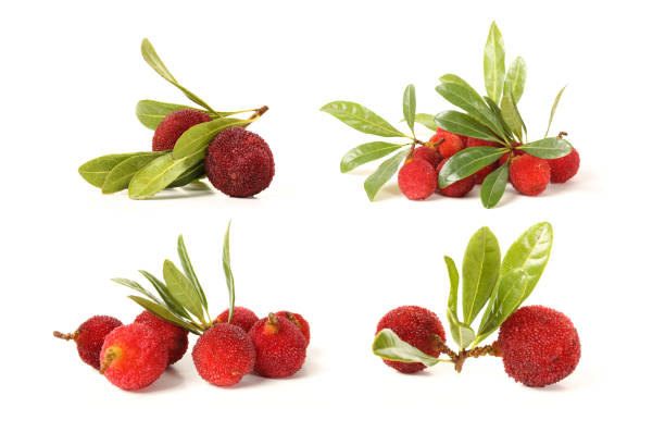 istock Red bayberry （Arbutus ） isolated on white background 901854348