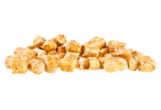 istock Pelleted compound feed Isolated on white background, wheatfeed pellets 901854824