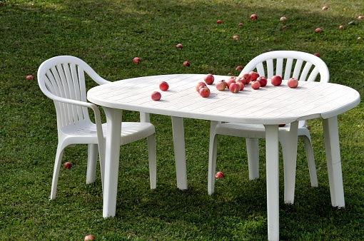 Organic apples on a white table in the garden