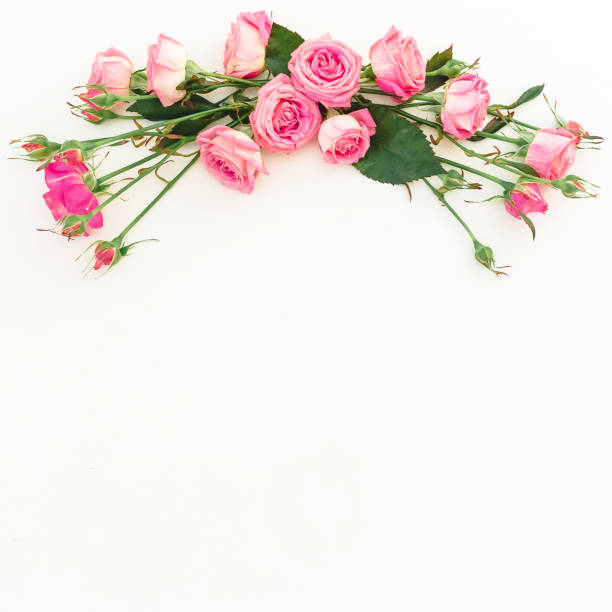 istock Floral frame of flowers, copy space. Spring composition with pink roses on white background. Top view. Flat lay. 901870666