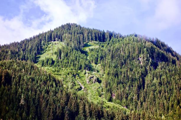 Peaceful scenic landscape of lush green alpine peak under a blue cloudy sky in Saalbach, Austria