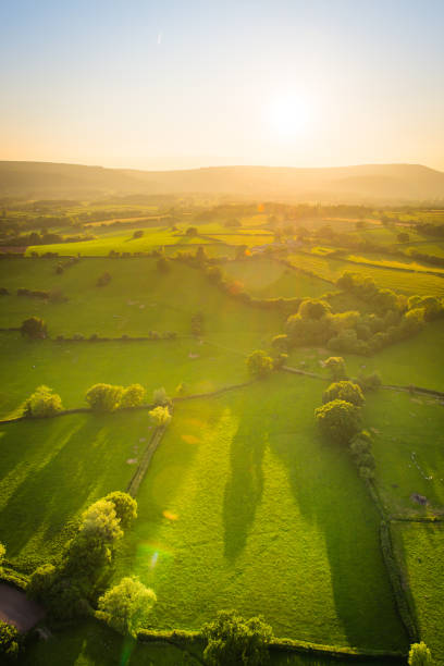złote światło słoneczne oświetlające idylliczny krajobraz wiejski zielone pastwisko zdjęcie lotnicze - aerial view mid air farm field zdjęcia i obrazy z banku zdjęć