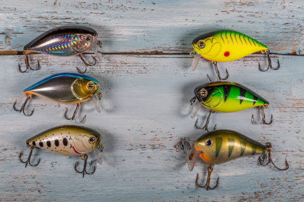 istock Set Of Colorful Spinner Lures on blue wood 901879874