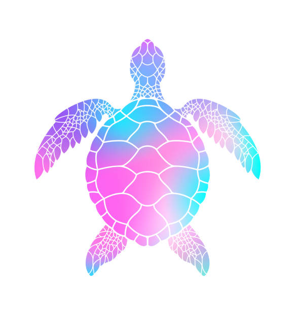 Colorful turtle. Vector illustration Vector illustration (EPS) sea turtle stock illustrations